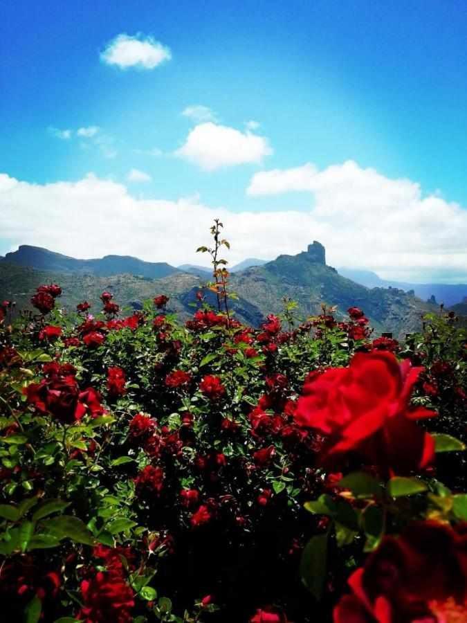克鲁兹·德·特赫达 El Rincon Del Nublo旅馆 外观 照片