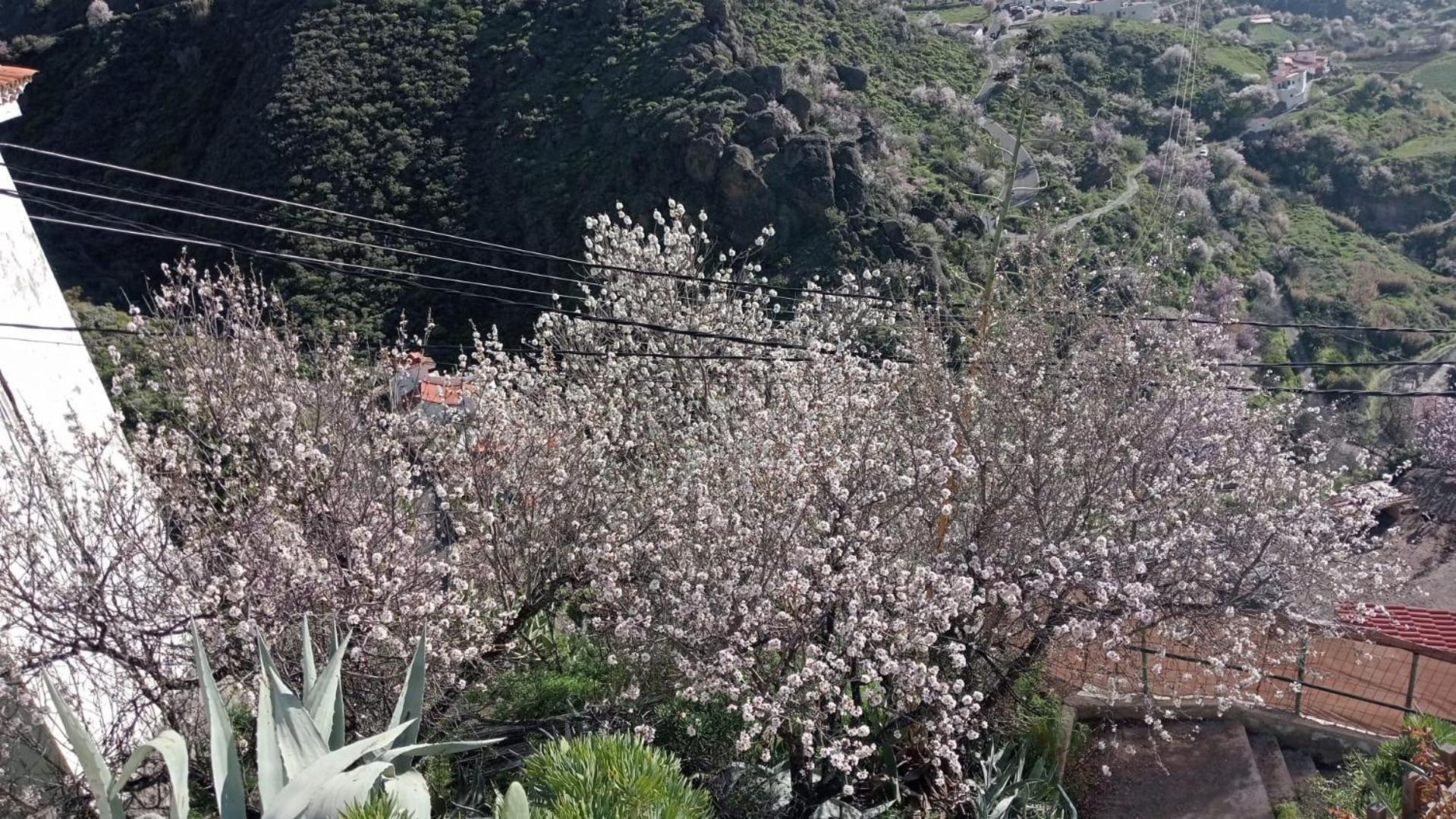 克鲁兹·德·特赫达 El Rincon Del Nublo旅馆 外观 照片